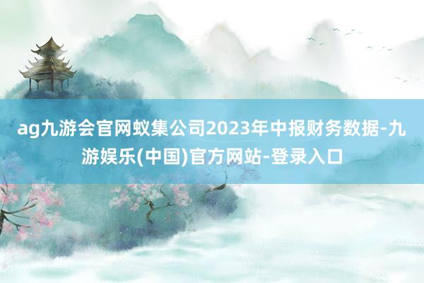 ag九游会官网蚁集公司2023年中报财务数据-九游娱乐(中国)官方网站-登录入口