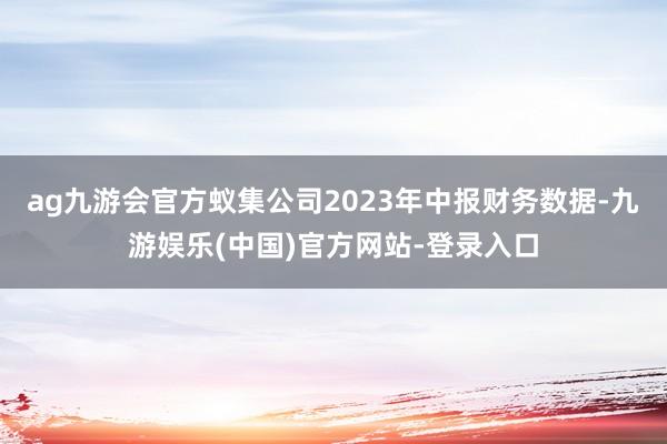 ag九游会官方蚁集公司2023年中报财务数据-九游娱乐(中国)官方网站-登录入口