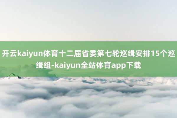 开云kaiyun体育十二届省委第七轮巡缉安排15个巡缉组-kaiyun全站体育app下载