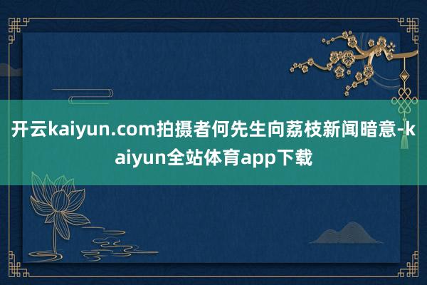开云kaiyun.com拍摄者何先生向荔枝新闻暗意-kaiyun全站体育app下载