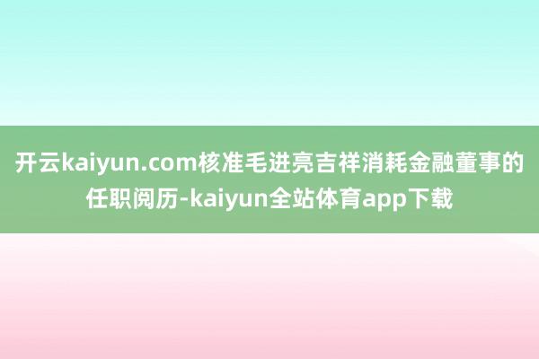 开云kaiyun.com核准毛进亮吉祥消耗金融董事的任职阅历-kaiyun全站体育app下载