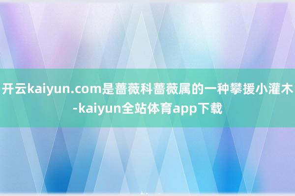 开云kaiyun.com是蔷薇科蔷薇属的一种攀援小灌木-kaiyun全站体育app下载