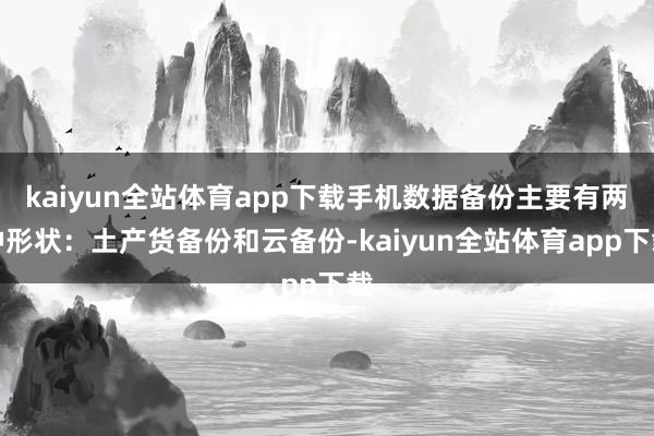 kaiyun全站体育app下载手机数据备份主要有两种形状：土产货备份和云备份-kaiyun全站体育app下载