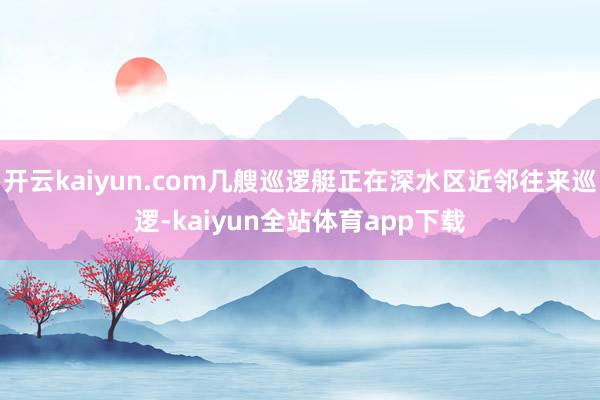 开云kaiyun.com几艘巡逻艇正在深水区近邻往来巡逻-kaiyun全站体育app下载
