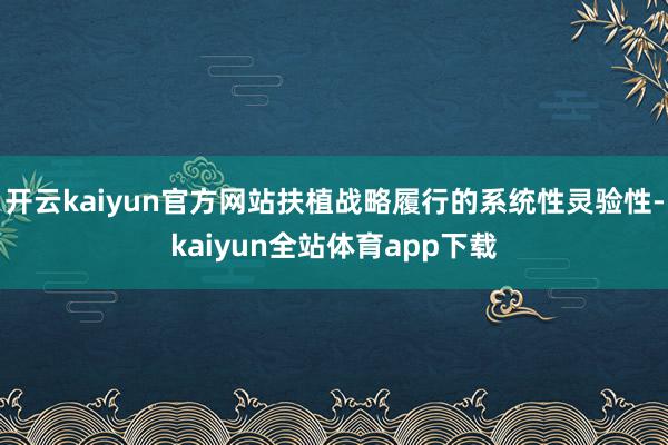 开云kaiyun官方网站扶植战略履行的系统性灵验性-kaiyun全站体育app下载